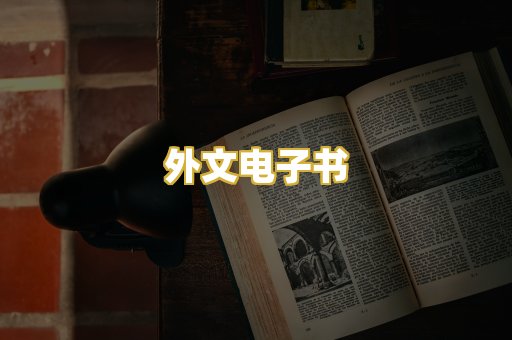 外文电子书